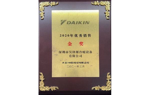 2020年优秀销售 金奖